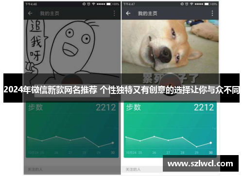 2024年微信新款网名推荐 个性独特又有创意的选择让你与众不同