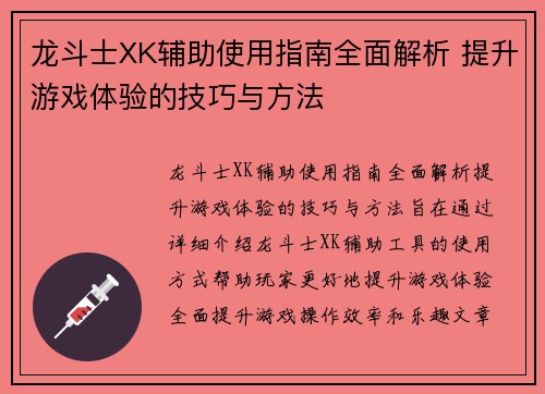 龙斗士XK辅助使用指南全面解析 提升游戏体验的技巧与方法