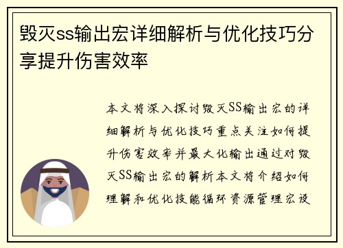 毁灭ss输出宏详细解析与优化技巧分享提升伤害效率